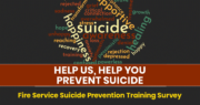 Survey on Suicide Prevention
